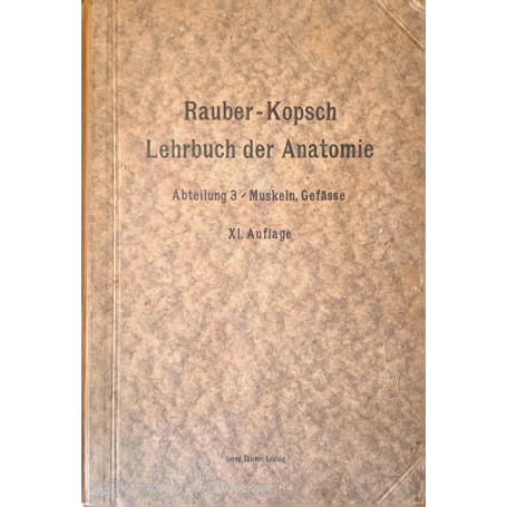 Rauber's Lehrbuch der Anatomie des Menschen. Vol. 3