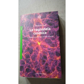 La ragnatela cosmica  la misteriosa architettura dell'universo