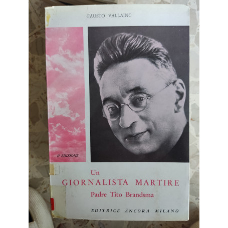 Un giornalista martire