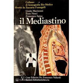 Il mediastino