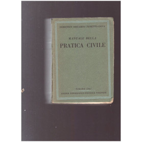Manuale della pratica civile