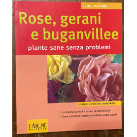 Rose gerani e buganvillee. Piante sane senza problemi
