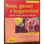 Rose gerani e buganvillee. Piante sane senza problemi