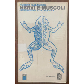 Nervi e muscoli
