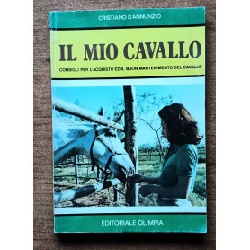 Il mio cavallo