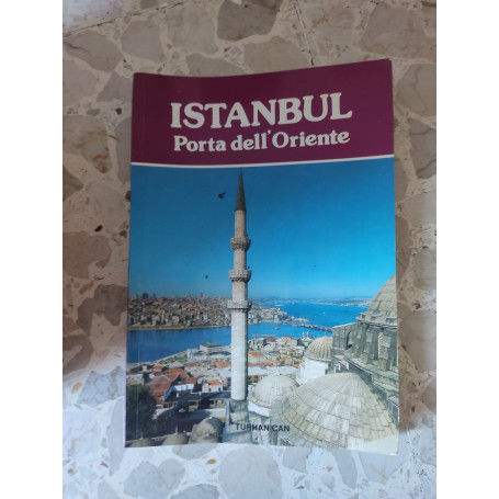 Instanbul: porta dell'Oriente