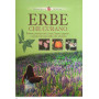 Erbe che curano