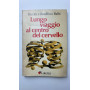 Lungo viaggio al centro del cervello