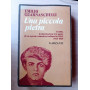 Una piccola pietra