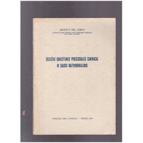 Selectae quaestiones processuales canonicae in causis martrimonialibus