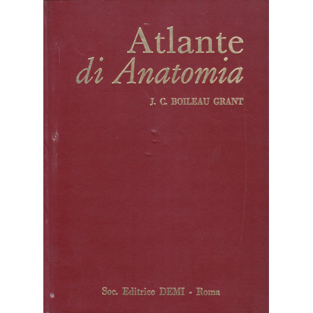 Atlante di anatomia