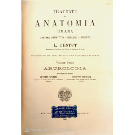 Trattato di anatomia umana Artrologia Vol. 1