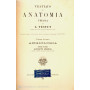 Trattato di anatomia umana Angiologia Vol. II