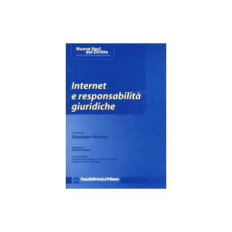 Internet e responsabilità giuridiche