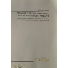 Manuale teorico pratico sul sovraindebitamento Formulario ed esame della normativa Indirizzi dottrinali e giurisprudenziali