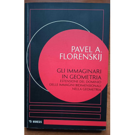 Gli immaginari in geometria Estensione del dominio delle immagini bidimensionali nella geometria