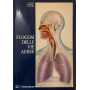 Flogosi delle vie aeree