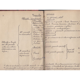 Tavole sinottiche di diritto penale
