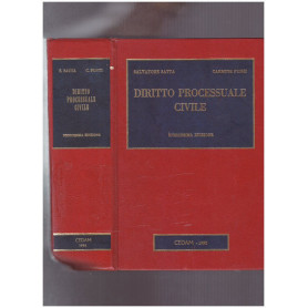 Diritto processuale civile