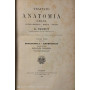 Trattato di anatomia umana. Anatomia descrittiva - istologia- sviluppo