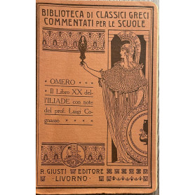 Il libro XX dell'Iliade