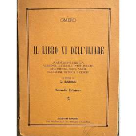 Il libro VI dell'Iliade