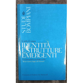 Identità e strutture emergenti.