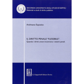 Il diritto penale flessibileÂ». Quando i diritti umani incontrano i sistemi penali