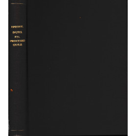 I provvedimenti d'urgenza del processo civile