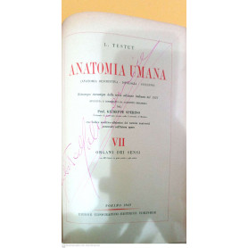 Anatomia umana vol. XII embriologia
