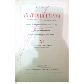 Anatomia umana vol. XI apparato uro-genitale
