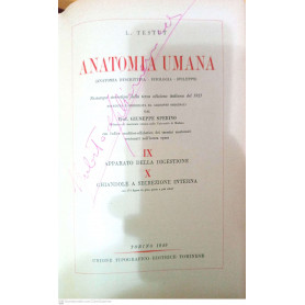 Anatomia umana vol. IX/X apparato della digestione ghiandole a secrezione interna