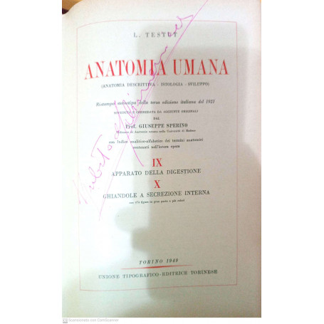 Anatomia umana vol. IX/X apparato della digestione ghiandole a secrezione interna