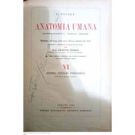 Anatomia umana vol. VI sistema nervoso periferico