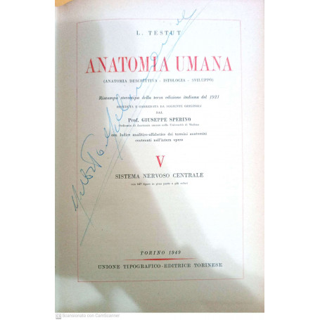 Anatomia umana vol. V sistema nervoso centrale