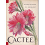 Cactee.