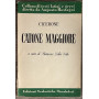 Catone maggiore