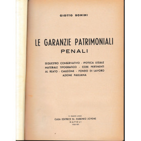 Le garanzie patrimoniali penali.