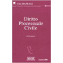 Diritto processuale civile