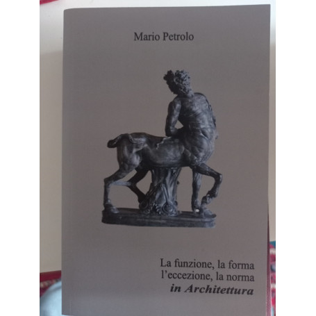 La funzione la forma l'eccezione la norma in architettura