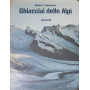 Ghiacciai delle Alpi