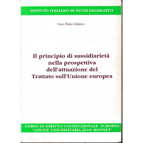 Il principio di sussidiarietà nella prospettiva dell'attuazione del Trattato sull'Unione europea