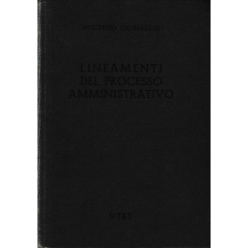 Lineamenti del processo amministrativo