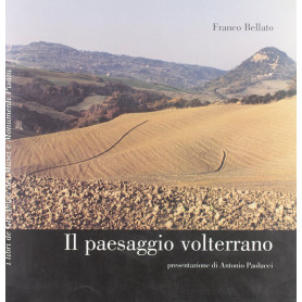 Paesaggio volterrano