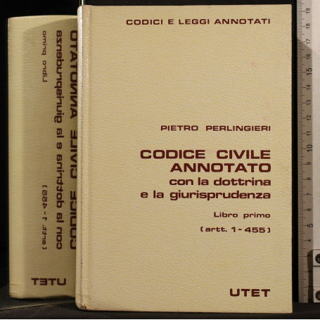 Codice civile annotato Vol.1