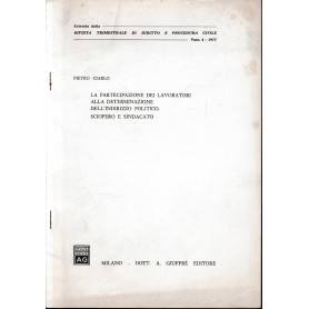 La partecipazione dei lavoratori alla determinazione dell'indirizzo politico. Sciopero e sindacati.