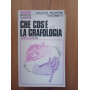 Che cos'è la grafologia applicazioni