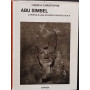 Abu Simbel. L'epopea di una scoperta archeologica