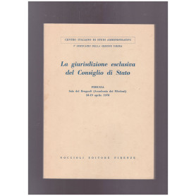 La giurisdizione esclusiva del Consiglio di Stato