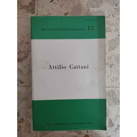 Attilio Cattani